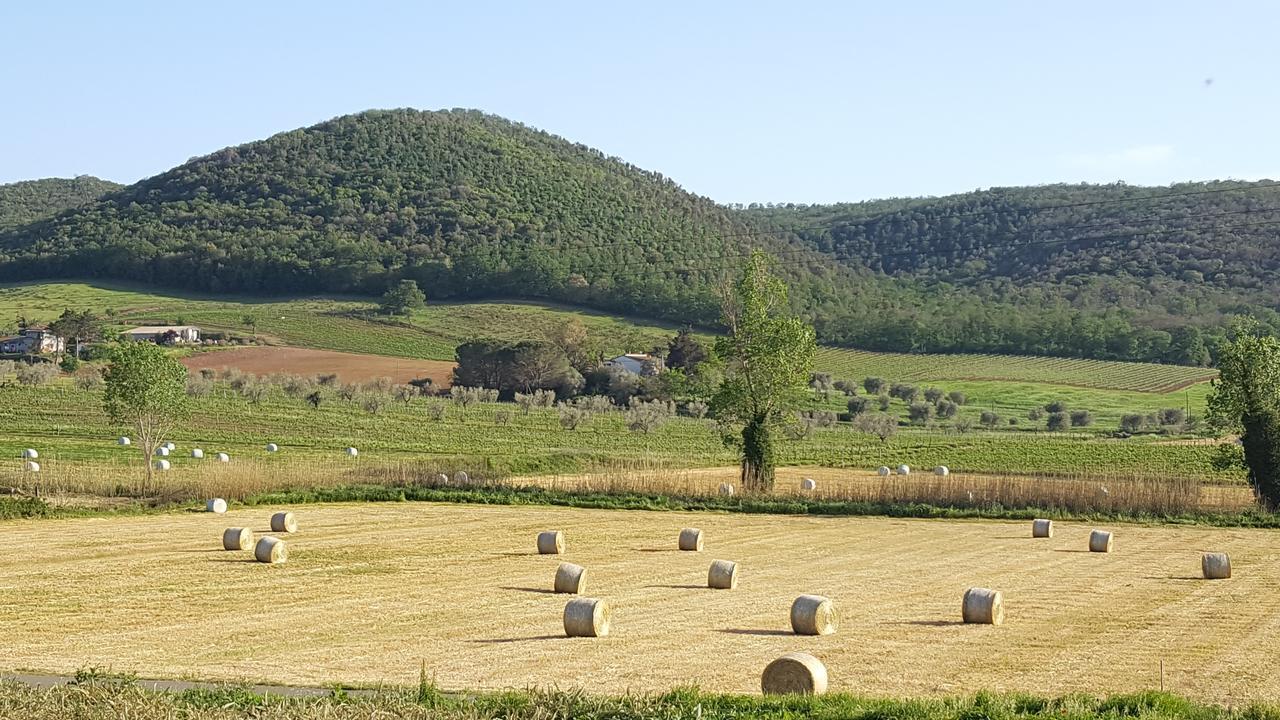 Agriturismo Cupido Montiano  Extérieur photo
